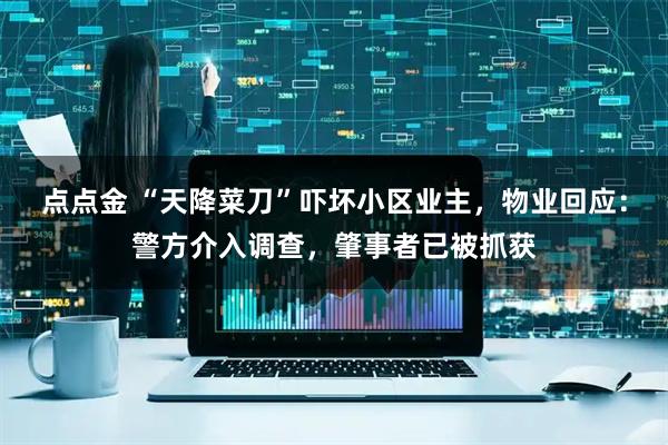 点点金 “天降菜刀”吓坏小区业主，物业回应：警方介入调查，肇事者已被抓获